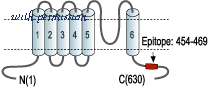 Alomone Labs APC-023 image 2