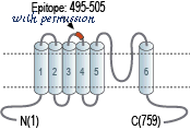 Alomone Labs ACC-118 ͼ 2