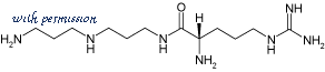 Alomone Labs ACS-004 image 3