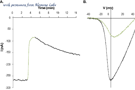 Alomone Labs AGR-014 image 2