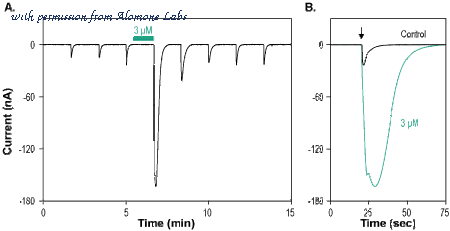 Alomone Labs AGT-011 image 3