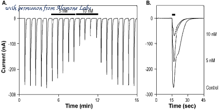 Alomone Labs ALM-025-B image 3