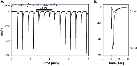 Alomone Labs AMT-003 image 2