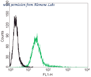 Alomone Labs AN-170-F image 1