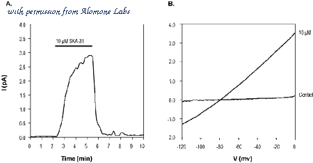 Alomone Labs ANC-012-AR image 3