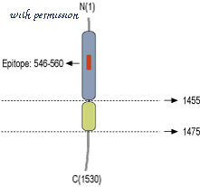 Alomone Labs ANR-031 image 2