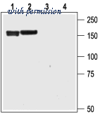 Alomone Labs APC-114 image 1