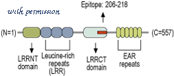 Alomone Labs APC-120 image 3