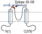 Alomone Labs APC-165 image 2