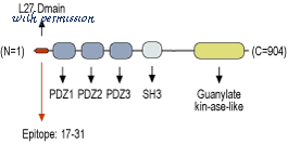 Alomone Labs APZ-010 image 2