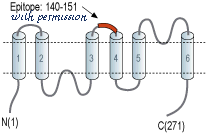 Alomone Labs AQP-011 image 3
