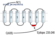 Alomone Labs ASR-003 image 3