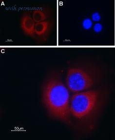 Alomone Labs ATC-001 image 3