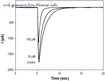 Alomone Labs A-205 image 1