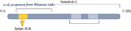 Alomone Labs A-355 image 1