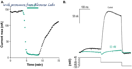 Alomone Labs A-520 image 1