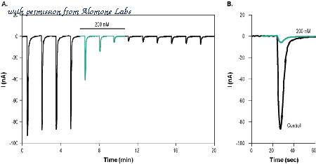 Alomone Labs B-100-AG image 1