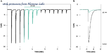 Alomone Labs B-100-B image 1