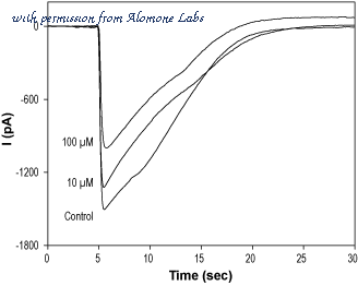 Alomone Labs B-140 image 1