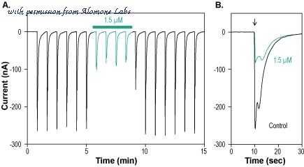 Alomone Labs C-290 image 1