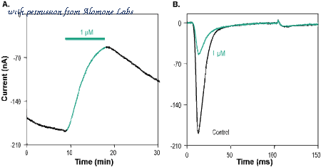 Alomone Labs D-150 image 1