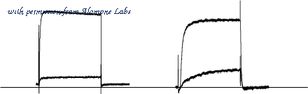 Alomone Labs D-350 image 1
