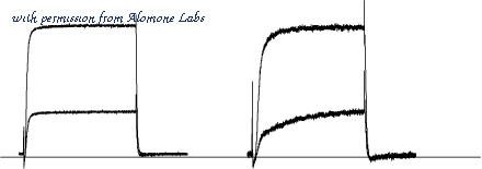 Alomone Labs D-360 image 1