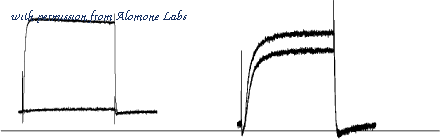Alomone Labs D-380 image 1