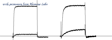 Alomone Labs D-390 image 1