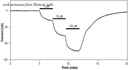 Alomone Labs D-390 image 2