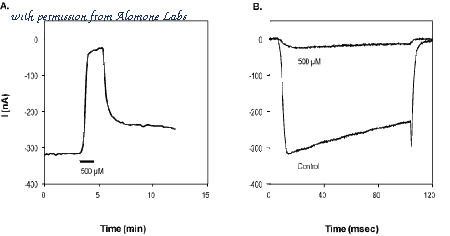 Alomone Labs F-120 image 1