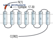 Alomone Labs F-120 image 2