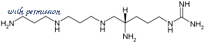 Alomone Labs F-120 image 3