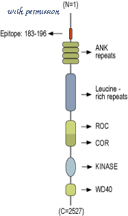 Alomone Labs F-160 image 1