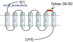 Alomone Labs F-180 image 1