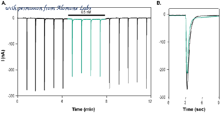 Alomone Labs G-165 image 1