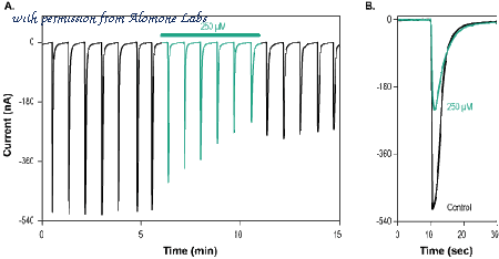 Alomone Labs GPB-200 image 1