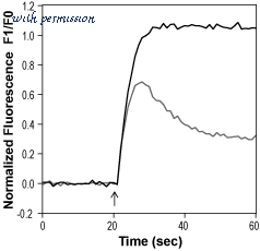 Alomone Labs L-190 image 2