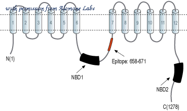 Alomone Labs N-100 image 1