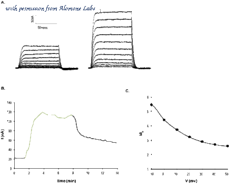 Alomone Labs N-105 image 1