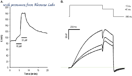 Alomone Labs N-115 image 1