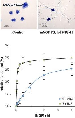 Alomone Labs N-130 image 1