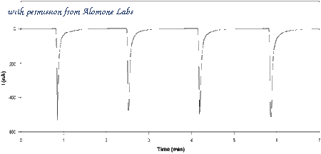 Alomone Labs N-175 image 1