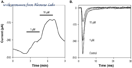 Alomone Labs N-190 image 2