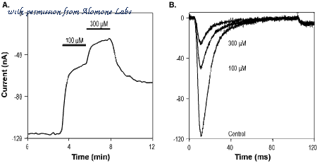 Alomone Labs N-240 image 1
