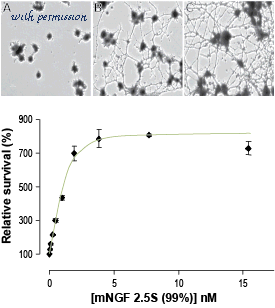 Alomone Labs N-240 image 2
