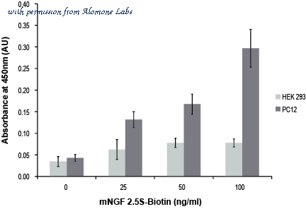 Alomone Labs N-240-B image 1