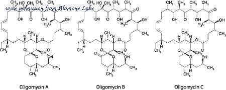 Alomone Labs O-500 image 2