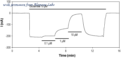 Alomone Labs P-120 image 1