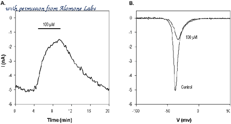 Alomone Labs P-145 image 2